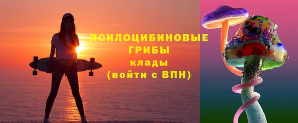 apvp Арсеньев