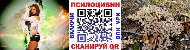 Галлюциногенные грибы MAGIC MUSHROOMS  Купить закладки  Лукоянов 
